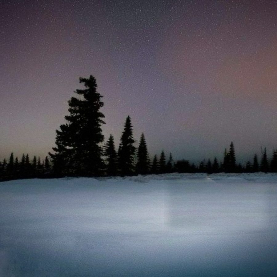 The same snowy field, now empty. The bear is gone.