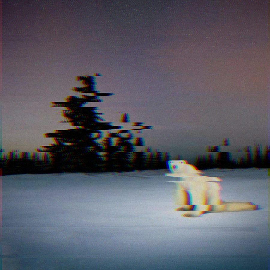 The bear image broken by horizontal signal glitches.